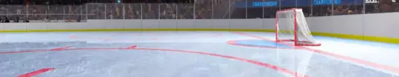 Linie oznaczajace na lodowisko hokejowe (1 komplet) Potma